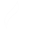 logo120